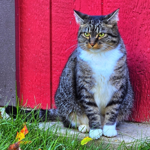 Meet your Posher, Cassi - Picture 1 of 16